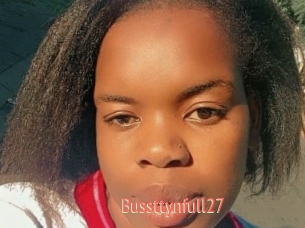 Bussttynfull27