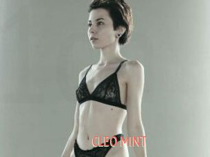 CLEO_MINT
