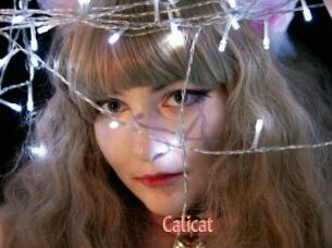 Calicat