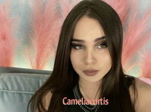 Cameliacurtis