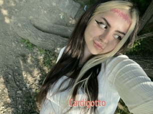 Cardigotto