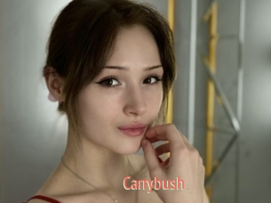 Carrybush