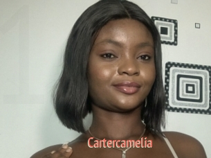 Cartercamelia