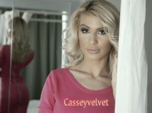 Casseyvelvet