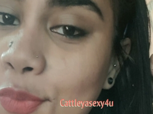 Cattleyasexy4u