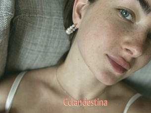Cclandestina
