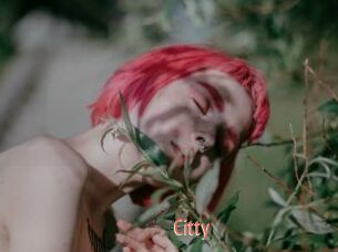 Citty