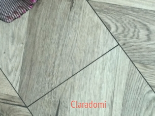 Claradomi