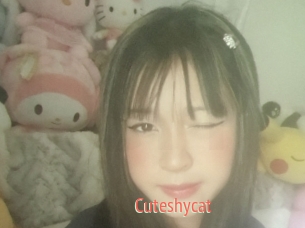 Cuteshycat
