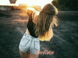 DaisyColle