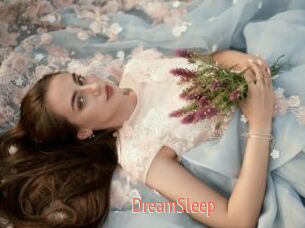 DreamSleep