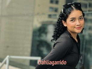 Dahliagarrido