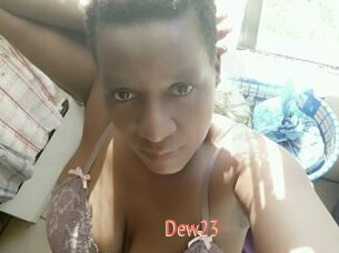 Dew23