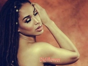 Didiflower