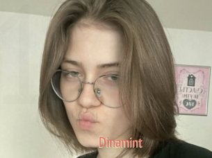 Dinamint