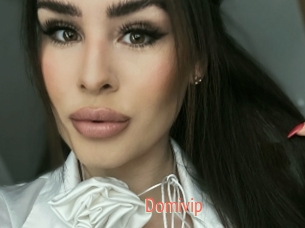 Domivip