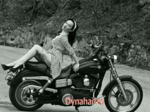 Dynaharley