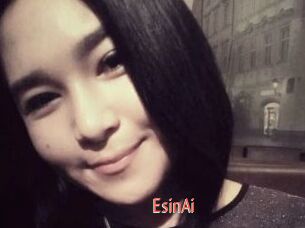 EsinAi