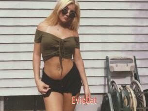 EvieCat