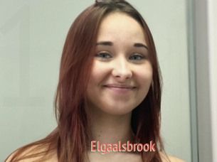 Elgaalsbrook