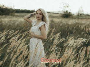 Elizamool
