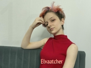 Elvaatcher