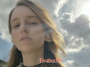 Elvabucher