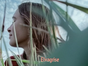 Elvagrise