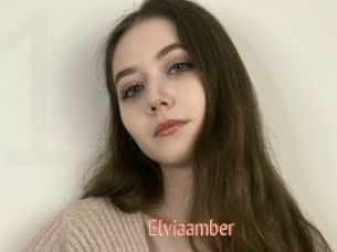 Elviaamber