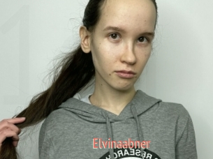 Elvinaabner