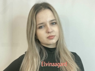 Elvinaagard