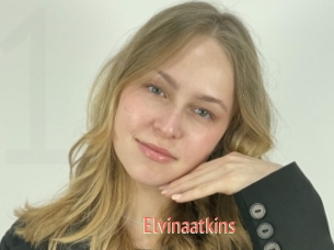 Elvinaatkins