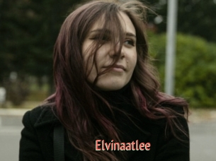 Elvinaatlee