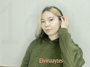 Elvinaaytes