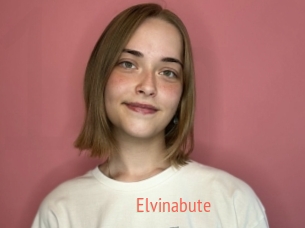 Elvinabute