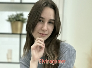 Elvinagomer