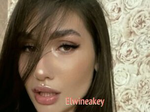 Elwineakey