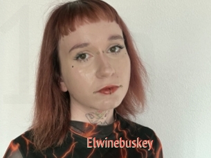 Elwinebuskey