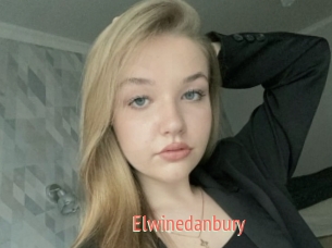Elwinedanbury