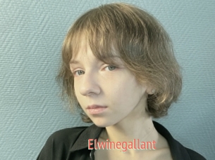 Elwinegallant