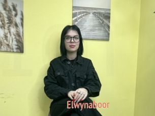 Elwynaboor