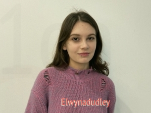 Elwynadudley