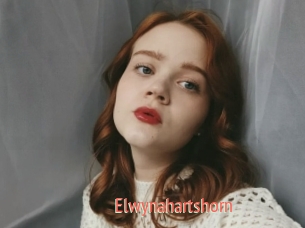 Elwynahartshorn