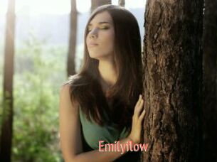 Emilyflow