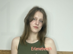 Erlenebeech