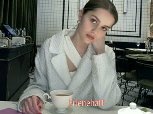 Erlenehatt
