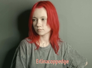 Erlinacoppedge