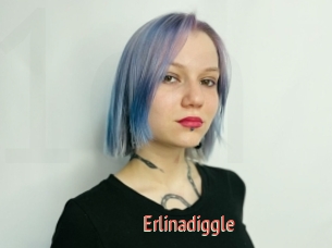 Erlinadiggle