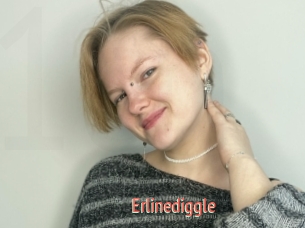 Erlinediggle