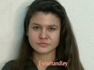 Esmehandley